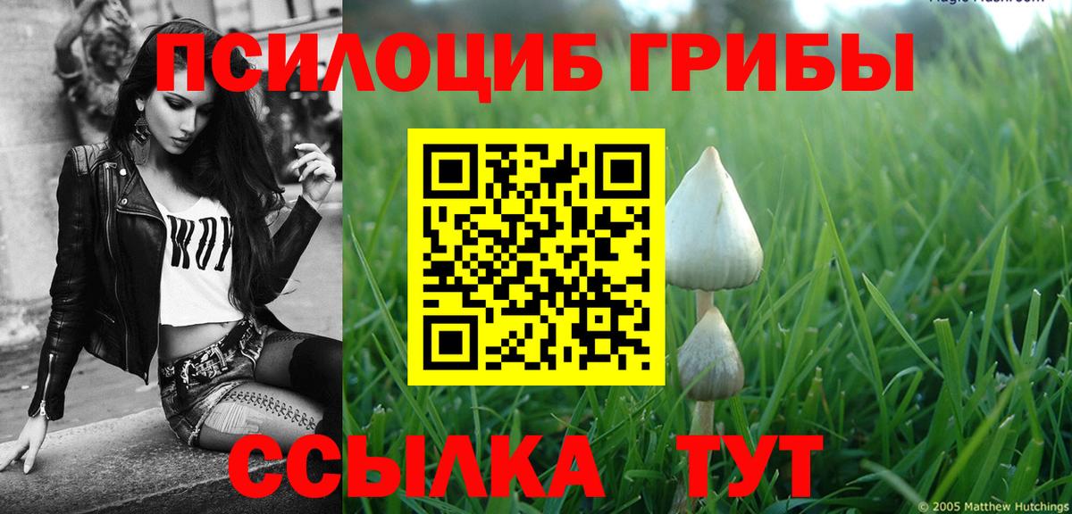 Псилоцибиновые грибы Psilocybe  купить наркотик  Ростов-на-Дону  Вход с VPN 